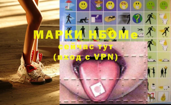 ГАЛЛЮЦИНОГЕННЫЕ ГРИБЫ Вязники
