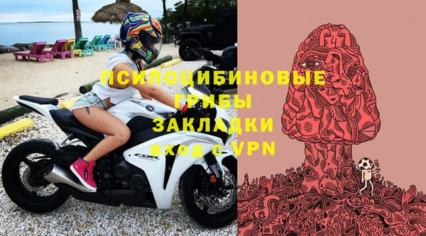 ECSTASY Волосово