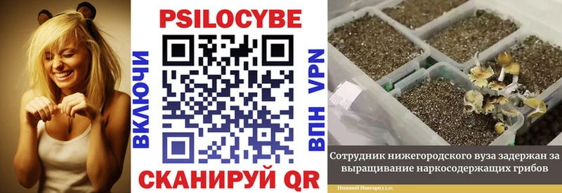Галлюциногенные грибы MAGIC MUSHROOMS  Купить  Новозыбков 