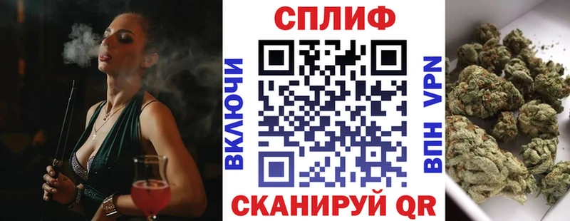 Купить где  Новозыбков  Канабис SATIVA & INDICA 